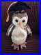 Beanie-baby-WISE-THE-OWL-1997-1998-with-RARE-tag-errors-Adorable-Grad-Gift-01-ovv