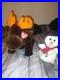Beanie-baby-rare-01-hzx