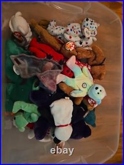 Big Bag of Beanie Babies (Common & Rare)