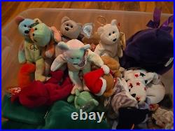 Big Bag of Beanie Babies (Common & Rare)