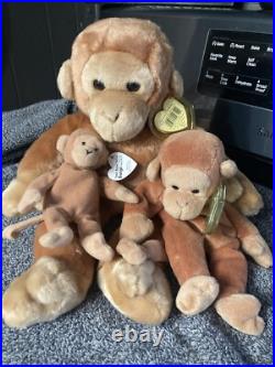 Bundle Set BONGO the Monkey Ty Beanie Buddy, Beanie & Teenie, Rare withMany Errors Bundle Set BONGO the Monkey Ty Beanie Buddy, Beanie & Teenie, Rare withMany Errors