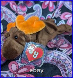 CHOCOLATE The Moose? 2nd Gen HT 2/1 MWNMT Near Mint? RARE TY BEANIE BABY CHOCOLATE The Moose? 2nd Gen HT 2/1 MWNMT Near Mint? RARE TY BEANIE BABY