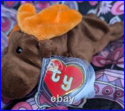 CHOCOLATE The Moose? 2nd Gen HT 2/1 MWNMT Near Mint? RARE TY BEANIE BABY CHOCOLATE The Moose? 2nd Gen HT 2/1 MWNMT Near Mint? RARE TY BEANIE BABY