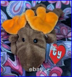 CHOCOLATE The Moose? 2nd Gen HT 2/1 MWNMT Near Mint? RARE TY BEANIE BABY CHOCOLATE The Moose? 2nd Gen HT 2/1 MWNMT Near Mint? RARE TY BEANIE BABY