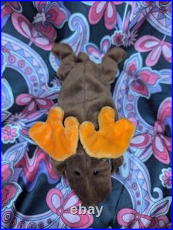 CHOCOLATE The Moose? 2nd Gen HT 2/1 MWNMT Near Mint? RARE TY BEANIE BABY CHOCOLATE The Moose? 2nd Gen HT 2/1 MWNMT Near Mint? RARE TY BEANIE BABY