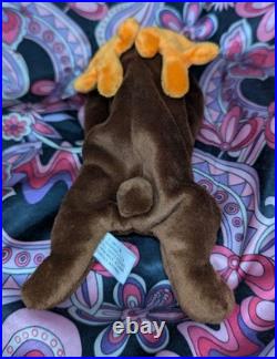 CHOCOLATE The Moose? 2nd Gen HT 2/1 MWNMT Near Mint? RARE TY BEANIE BABY CHOCOLATE The Moose? 2nd Gen HT 2/1 MWNMT Near Mint? RARE TY BEANIE BABY