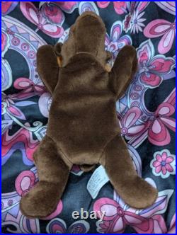 CHOCOLATE The Moose? 2nd Gen HT 2/1 MWNMT Near Mint? RARE TY BEANIE BABY CHOCOLATE The Moose? 2nd Gen HT 2/1 MWNMT Near Mint? RARE TY BEANIE BABY