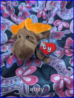CHOCOLATE The Moose? 2nd Gen HT 2/1 MWNMT Near Mint? RARE TY BEANIE BABY CHOCOLATE The Moose? 2nd Gen HT 2/1 MWNMT Near Mint? RARE TY BEANIE BABY