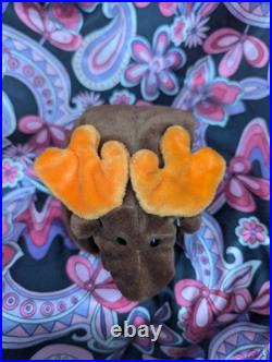 CHOCOLATE The Moose? 2nd Gen HT 2/1 MWNMT Near Mint? RARE TY BEANIE BABY CHOCOLATE The Moose? 2nd Gen HT 2/1 MWNMT Near Mint? RARE TY BEANIE BABY