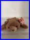 Cubbie-TY-Beanie-Baby-RARE-Multiple-Tag-Errors-1993-RARE-01-po