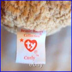 Curly Beanie Baby Retired Bear NWT Rare Edition with Multiple Tag Errors