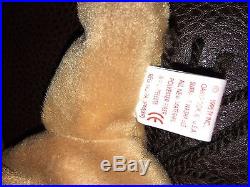 Derby the Horse' Ty Beanie Baby Retired 1995 NEW Rare
