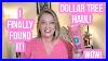 Dollar-Tree-Haul-Finally-Found-It-Viral-Items-Super-Cool-Love-Dt-Haul-Dollartree-01-yfz
