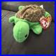 Extremely-Rare-Retired-1993-94-Ty-Beanie-Baby-Speedy-The-Turtle-WithTag-Errors-01-ghej