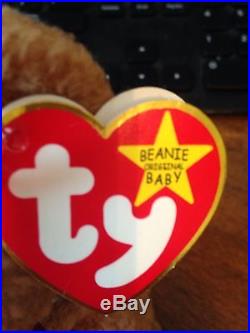 Extremely Rare Ty Beanie Baby CURLY BEAR with Record Amount Of Tag Errors
