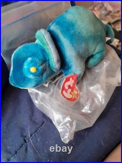 Extremely Rare Ty Iggy Beanie Baby, 1997