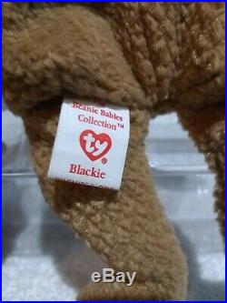 Extremely Rare Ty Warner Beanie Baby Curly