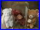 Graded-New-Face-Cranberry-Teddy-3rd-1st-Gen-Rare-Error-Hope-Blessed-01-bo