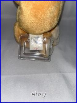HOPE RARE 1998 TY BEANIE BABY BEAR With Both Tags