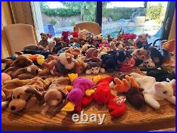 HUGE LOT Of Beanie Babies (85+) ALL TAGS attached very RARE DISCONTINUED 1993-99