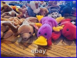 HUGE LOT Of Beanie Babies (85+) ALL TAGS attached very RARE DISCONTINUED 1993-99