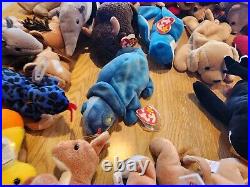 HUGE LOT Of Beanie Babies (85+) ALL TAGS attached very RARE DISCONTINUED 1993-99