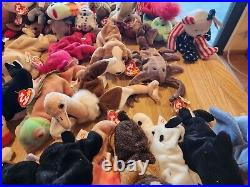 HUGE LOT Of Beanie Babies (85+) ALL TAGS attached very RARE DISCONTINUED 1993-99