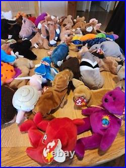 HUGE LOT Of Beanie Babies (85+) ALL TAGS attached very RARE DISCONTINUED 1993-99