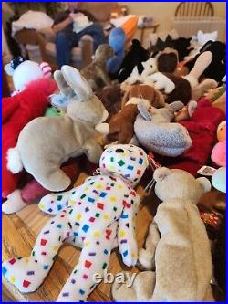 HUGE LOT Of Beanie Babies (85+) ALL TAGS attached very RARE DISCONTINUED 1993-99