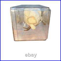 Halo the Bear TY Beanie Baby RETIRED RARE 1998 withTag Errors Brown nose