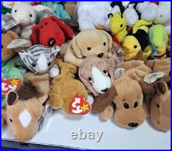 Huge Lot Of 70 TY Beanie BabiesRare/Retired COLLECTIBLE 1993-200