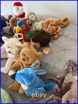 Huge Lot of 36 Vintage Beanie Babies all with TY Tags with Rare 1st Edition Items