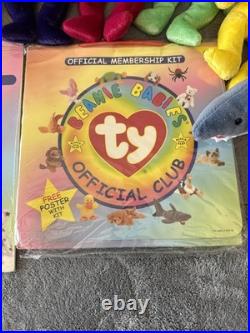 Huge Lot of 36 Vintage Beanie Babies all with TY Tags with Rare 1st Edition Items