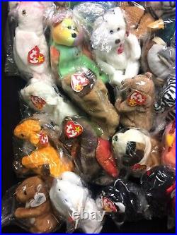 Huge Lot of TY Beanie Babies, Teenie & Plush Toys Some Rare withErrors