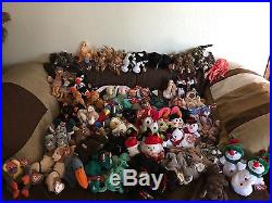 Huge Mixed Lot of 850+ TY Beanie Babies & Buddys Including Rare, Error & Retired