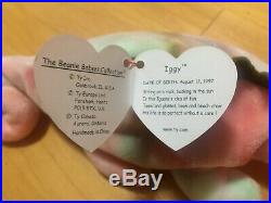Iggy TY Beanie Babies ORIGINAL RETIRED w ERRORS & TAGS (RARE / TY OG 1997)