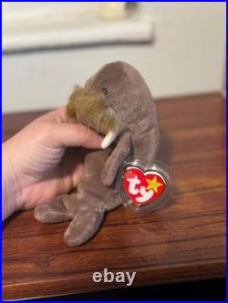 Jolly The Jolly Walrus Ty Beanie Baby-rare-retired 1996 Mint Tag Errors New