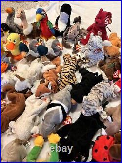 Large Vintage TY Beanie Baby Lot 65 Pcs w Tags Rare Errors Retired Plush NWT NEW