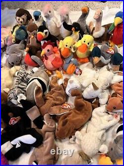 Large Vintage TY Beanie Baby Lot 65 Pcs w Tags Rare Errors Retired Plush NWT NEW