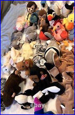 Large Vintage TY Beanie Baby Lot 65 Pcs w Tags Rare Errors Retired Plush NWT NEW