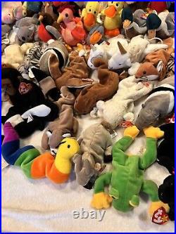 Large Vintage TY Beanie Baby Lot 65 Pcs w Tags Rare Errors Retired Plush NWT NEW