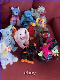Lot Of 12 Rare Beanie Babies With Tags