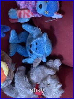 Lot Of 12 Rare Beanie Babies With Tags