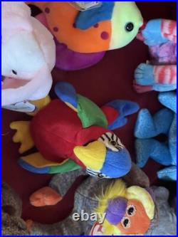 Lot Of 12 Rare Beanie Babies With Tags