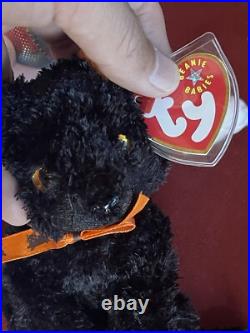 Lot Of 12 Rare Beanie Babies With Tags