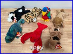 Lot Of RARE 1990s Beanie Babies Daisy/Stripes/Pinchers/Derby/Roary/RainbowithJab