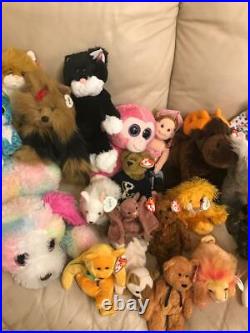 Lot Ty and Boo Beanie Babies Tags Classics Retired Estate Sale Collectible rare