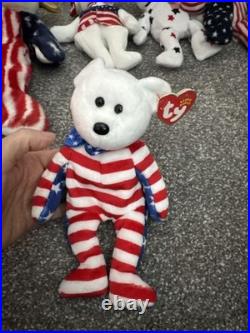 Lot of 15. TY Beanie Baby Patriot Bear America set-Rare & Original! Has all tag