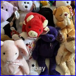 Lot of 36 Vintage Retired Rare TY Beanie Babies W Tags Collection Collectible