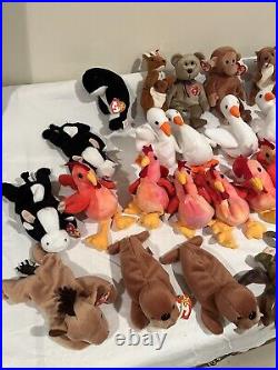 Lot of 46 TY Rare Retired Beanie Babies
